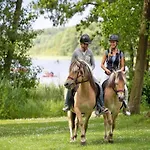 Ferienhaus Skandinavisches In Mirow